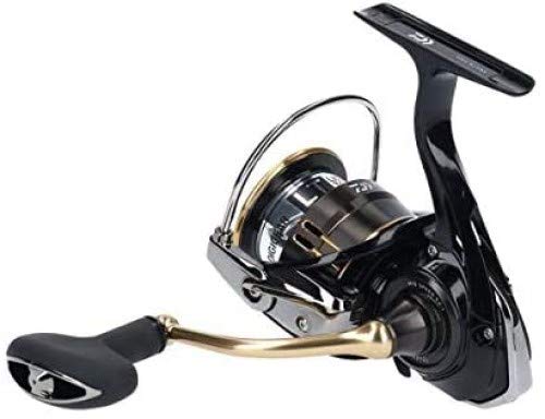 Daiwa Spinning Reel 19 Ballistic LT3000 2019 Model Lightweight Durable-Kiichin - The #1 Place for Japanese Goods in Your Hand!