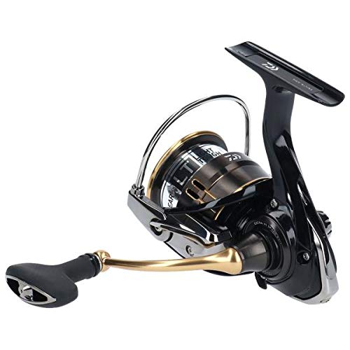 Daiwa Spinning Reel 19 Ballistic Lt3000S Cxh 2019 Model High Performance-Kiichin - The #1 Place for Japanese Goods in Your Hand!