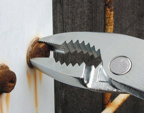 Engineer Brand Screwsaurus Xp Pz-56Ak with Included General Catalog-Kiichin - The #1 Place for Japanese Goods in Your Hand!