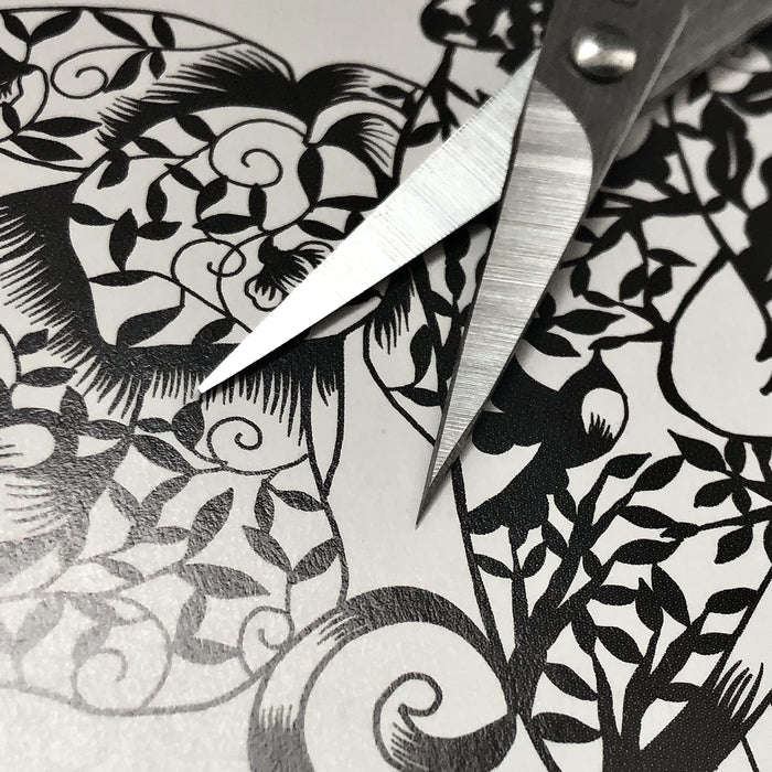 Hasegawa Knives DSA-100M Intermediate Cutting Scissors Supervised by Hina Aoyama-Kiichin - The #1 Place for Japanese Goods in Your Hand!