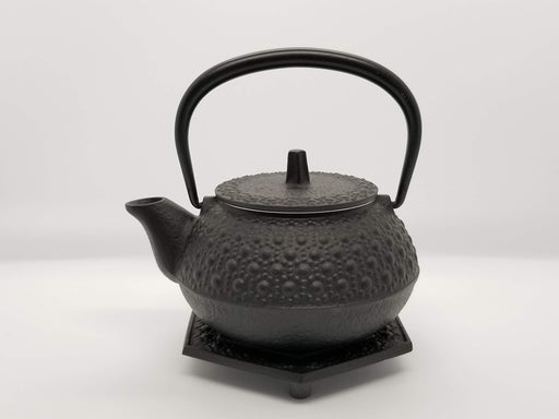 Iwachu Iron Teapot Set Black Finish 0.32L Tortoise Shell Design-Kiichin - The #1 Place for Japanese Goods in Your Hand!