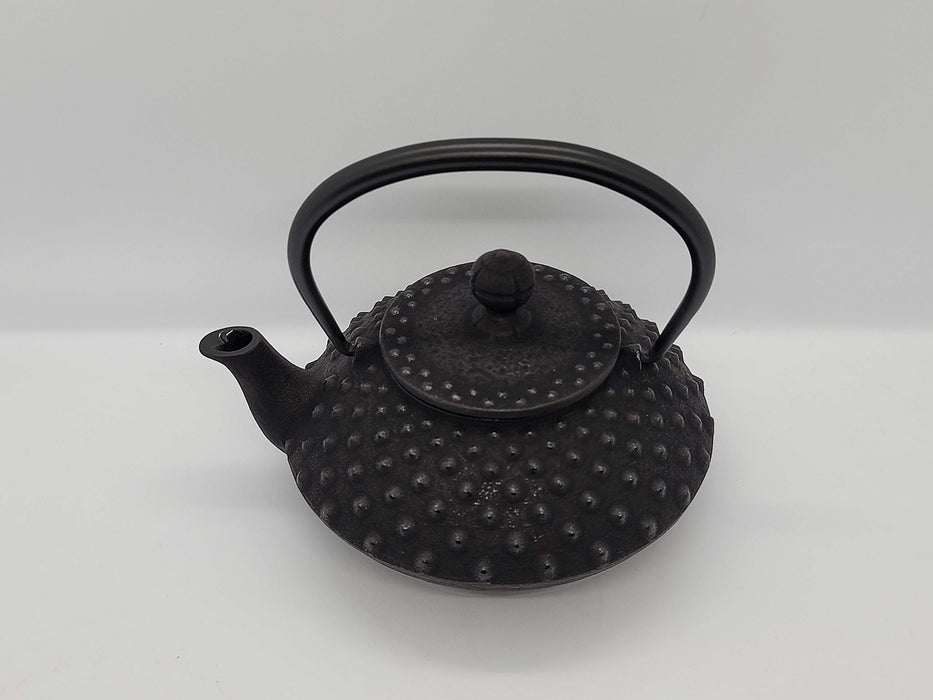 Iwachu Teapot 0.35L Black Enameled Nambu Ironware Arare Design 12041-Kiichin - The #1 Place for Japanese Goods in Your Hand!