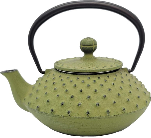 Iwachu Teapot 0.35L Flat Arare Wakakusa Enamel Interior Nambu Ironware-Kiichin - The #1 Place for Japanese Goods in Your Hand!