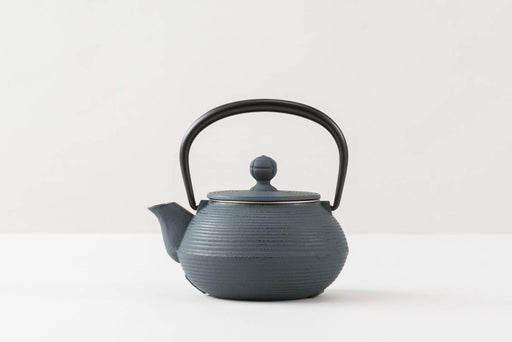 Iwachu 0.32L Nambu Ironware Teapot Damman Blue Enameled Inside-Kiichin - The #1 Place for Japanese Goods in Your Hand!