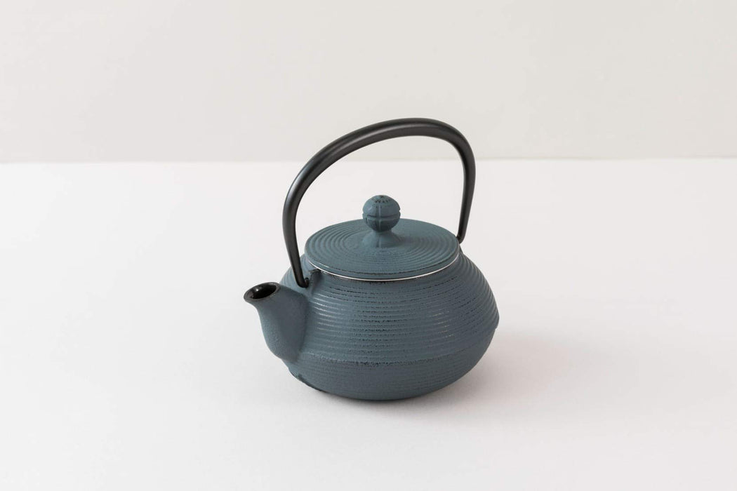 Iwachu 0.32L Nambu Ironware Teapot Damman Blue Enameled Inside-Kiichin - The #1 Place for Japanese Goods in Your Hand!