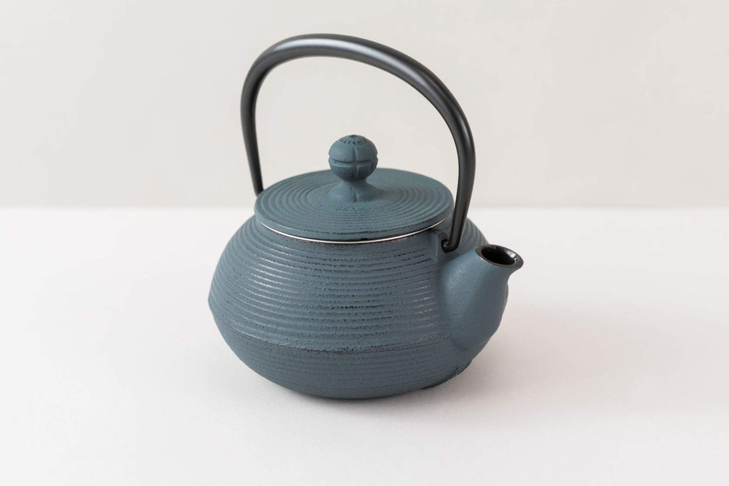 Iwachu 0.32L Nambu Ironware Teapot Damman Blue Enameled Inside-Kiichin - The #1 Place for Japanese Goods in Your Hand!