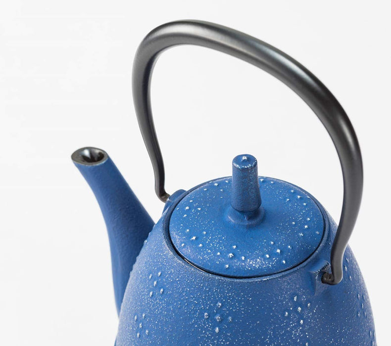 Iwachu 0.6L Nambu Iron Teapot Rice Silver with Enameled Interior-Kiichin - The #1 Place for Japanese Goods in Your Hand!