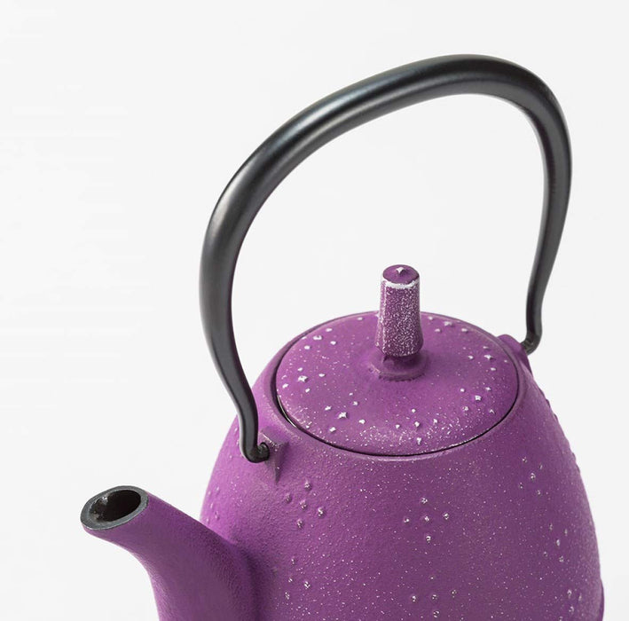 Iwachu Nambu Ironware Teapot Rice Silver Grape 0.6L Enameled Interior-Kiichin - The #1 Place for Japanese Goods in Your Hand!
