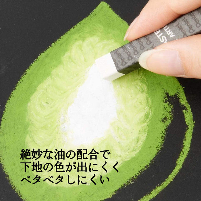 Pentel PTA-50D Professional Crayon Set with 49 Vibrant Colors Including 2 Whites-Kiichin - The #1 Place for Japanese Goods in Your Hand!