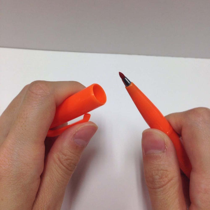 Pentel Orange Signature Pen S520-Fd Water-Based Set of 10-Kiichin - The #1 Place for Japanese Goods in Your Hand!