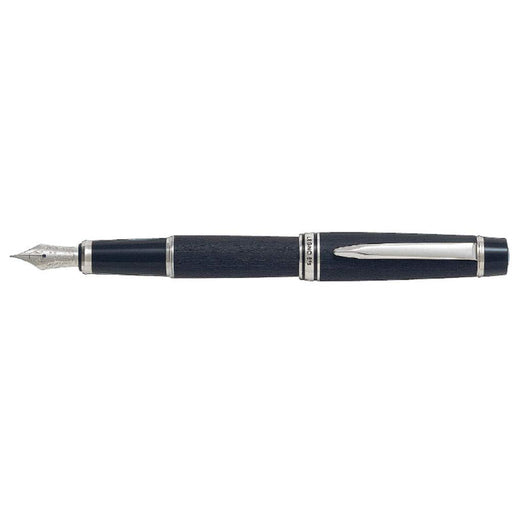 Pilot Regno 89S Medium Point Black Fountain Pen Fle-12Sk-Bm-Kiichin - The #1 Place for Japanese Goods in Your Hand!