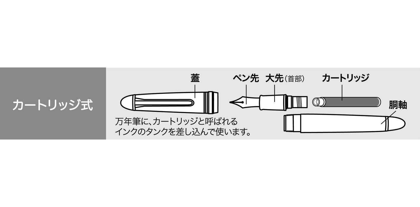 Sailor Fountain Pen Reglas Night Black Medium Point 11-0800-420-Kiichin - The #1 Place for Japanese Goods in Your Hand!