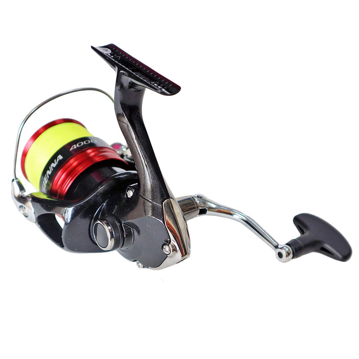 Shimano 19 Siena 4000 Spinning Reel with 150M Line for Surf and Sea Bass-Kiichin - The #1 Place for Japanese Goods in Your Hand!