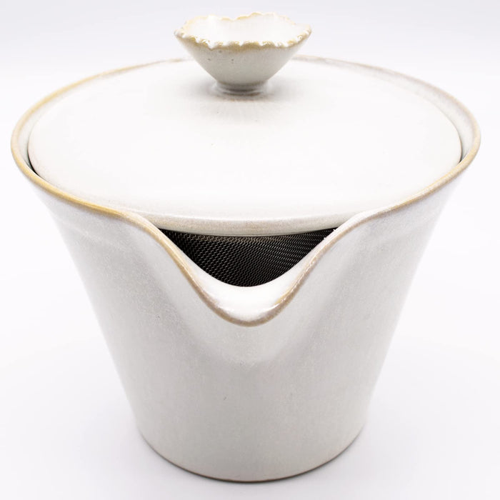 Aito Hana Teapot 280ml Ginkaku Setoyaki Japan 288473-Kiichin - The #1 Place for Japanese Goods in Your Hand!