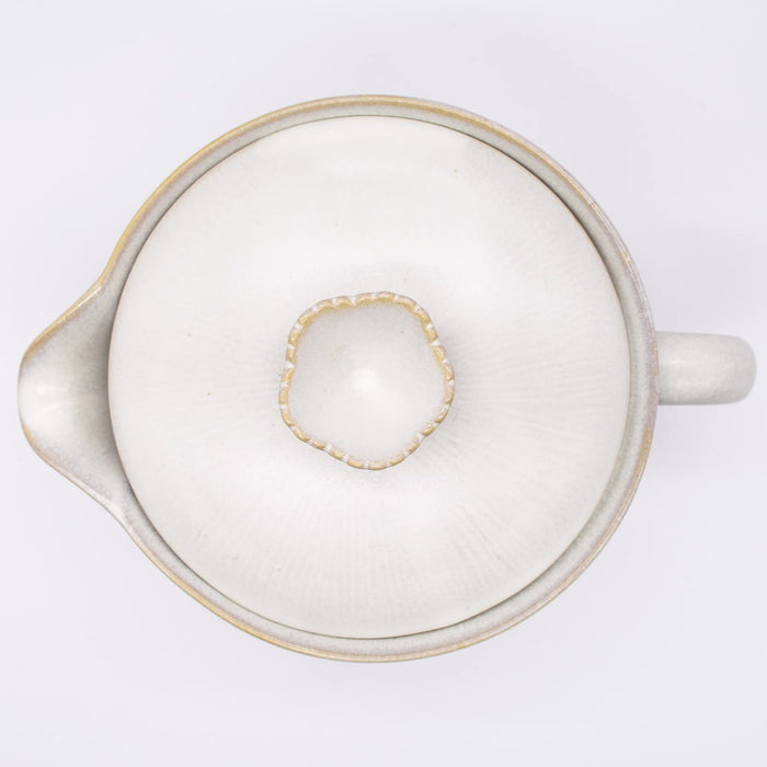 Aito Hana Teapot 280ml Ginkaku Setoyaki Japan 288473-Kiichin - The #1 Place for Japanese Goods in Your Hand!