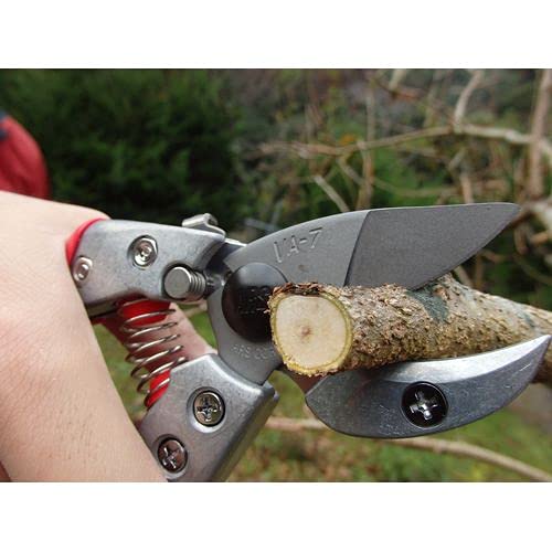 Ars VA-7Z Pruning Shears 180mm-Kiichin - The #1 Place for Japanese Goods in Your Hand!