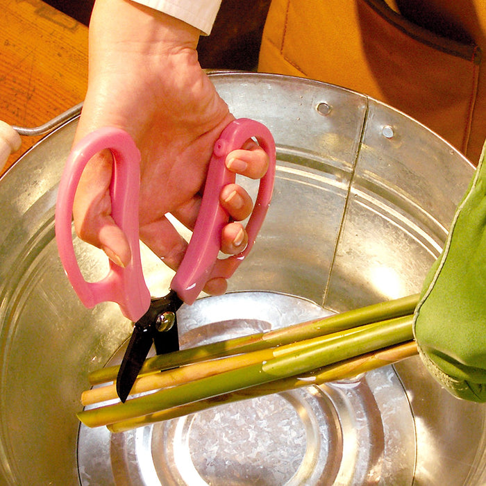 Ars Corporation Fp-17-Bk Commercial Flower Scissors Fleur (Black)-Kiichin - The #1 Place for Japanese Goods in Your Hand!