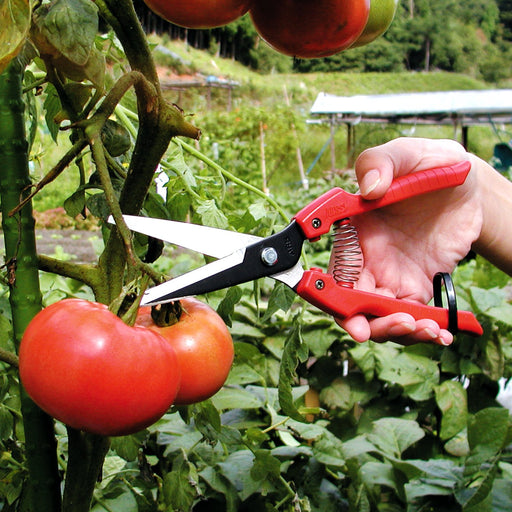 Ars Corporation Fruit & Veg Scissors SE-65 Replaceable Blade (Boxed)-Kiichin - The #1 Place for Japanese Goods in Your Hand!