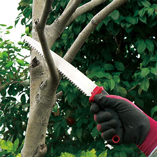 Ars SG-24 24 Fruit Tree Pruning Saw-Kiichin - The #1 Place for Japanese Goods in Your Hand!