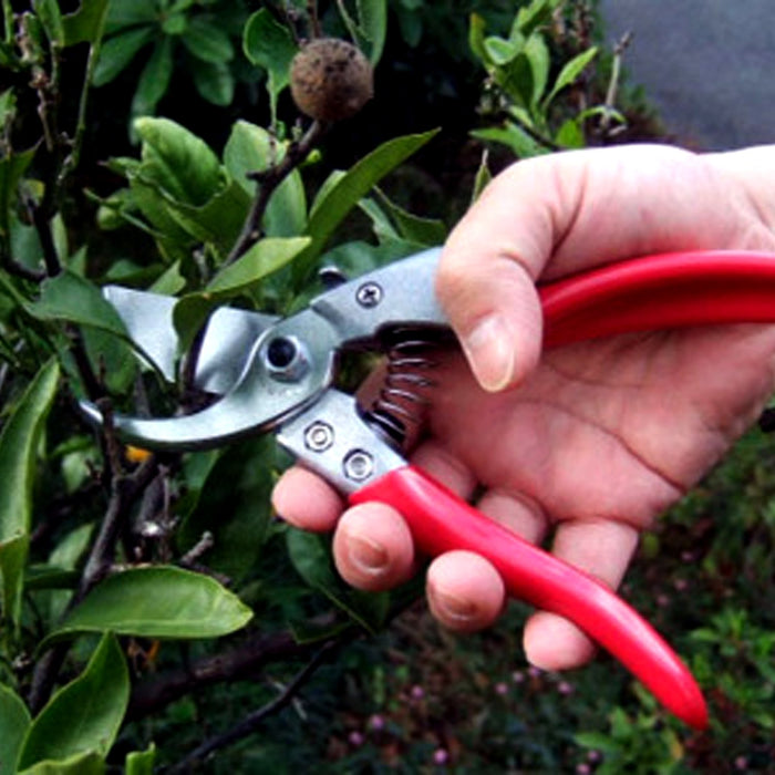 Ars VS-7Z Pruning Shears-Kiichin - The #1 Place for Japanese Goods in Your Hand!