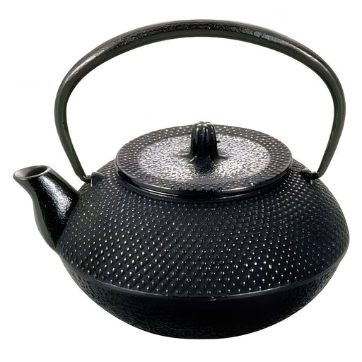 Asahi Cast Iron Tetsukyusu Teapot Arare 300ml - Authentic Japanese Tea Brewing Essential-Kiichin - The #1 Place for Japanese Goods in Your Hand!