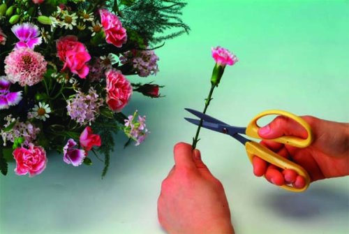 Chikamasa Cri-360Sfp Arrangement Scissors Fluorine Pink-Kiichin - The #1 Place for Japanese Goods in Your Hand!