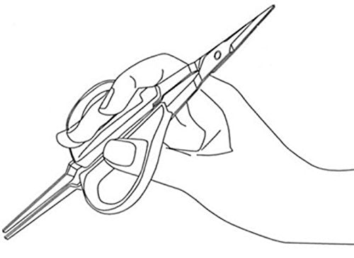 Chikamasa B-300Su Stainless Grape Scissors U-Type Tweezers-Kiichin - The #1 Place for Japanese Goods in Your Hand!