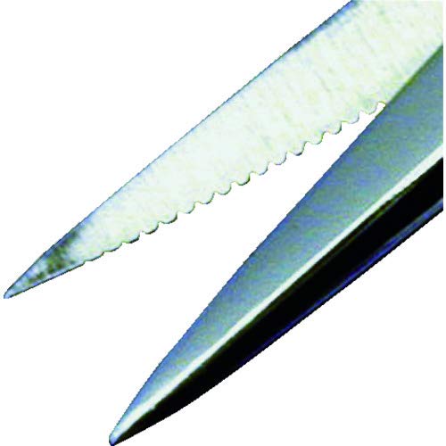 Engineer Kinkiri Scissors Straight PH-33-Kiichin - The #1 Place for Japanese Goods in Your Hand!