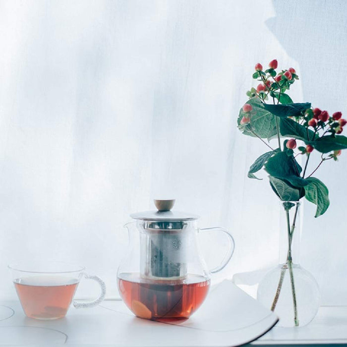 Hario TPC-45HSV 450mL Heat Resistant Glass Tea Pitcher-Kiichin - The #1 Place for Japanese Goods in Your Hand!