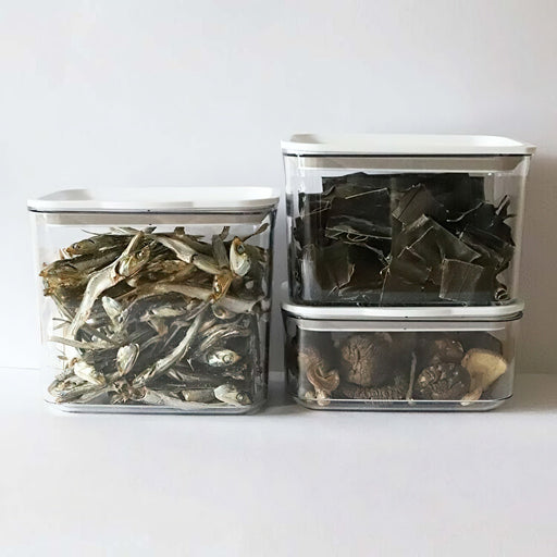 Takeya Japan Freshlok 1400Ml Resin Food Storage Container - Keep Your Food Fresh-Kiichin - The #1 Place for Japanese Goods in Your Hand!