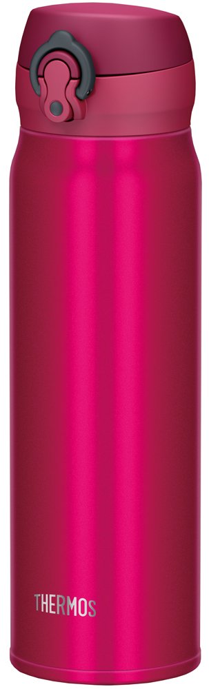 Thermos 0.6L Vacuum Insulated Water Bottle Mug - Garnet Red Jnl-602 Gr-Kiichin - The #1 Place for Japanese Goods in Your Hand!