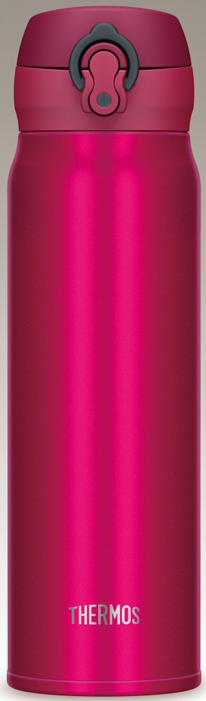 Thermos 0.6L Vacuum Insulated Water Bottle Mug - Garnet Red Jnl-602 Gr-Kiichin - The #1 Place for Japanese Goods in Your Hand!