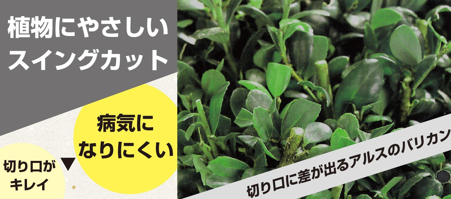 Ars Corporation Dkc-0025-R Electric Hedge Trimmer Lightweight Efficient