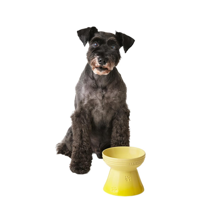 Le Creuset Cool Mint High Stand Pet Bowl for Dogs and Cats Stain-Resistant-Kiichin - The #1 Place for Japanese Goods in Your Hand!