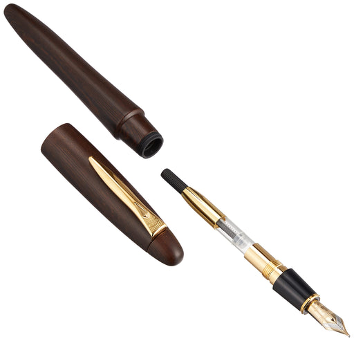 Platinum Izumo Tetsutoki Bold Fountain Pen with Matte Finish and Dual-Use Converter-Kiichin - The #1 Place for Japanese Goods in Your Hand!