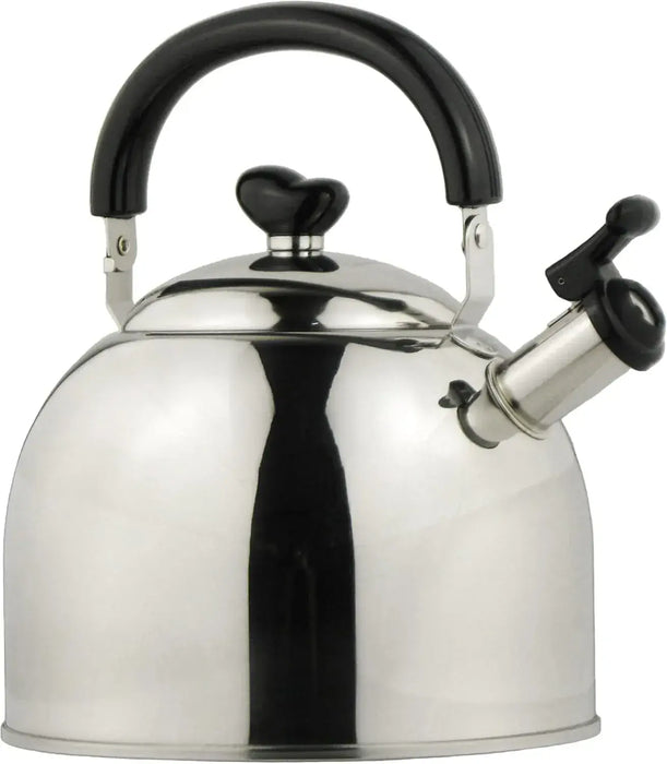 Nagao Tsubame Sanjo Stainless Steel Induction Compatible Kettle