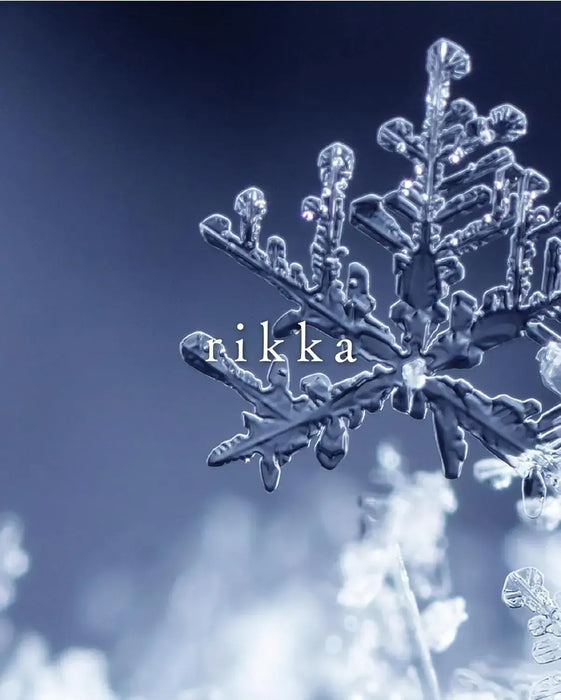 Pilot Iroshizuku Rokka Ink Fountain Pen Ink