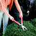 Ars Corp K-800-R Lightweight Pruning Shears Red-Kiichin - The #1 Place for Japanese Goods in Your Hand!