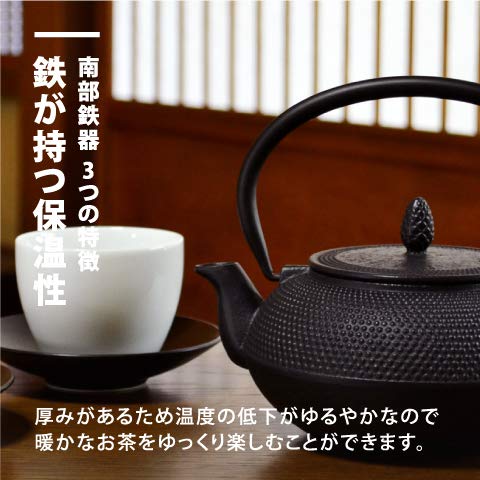 Nanbu Tekki Teapot 0.4L Brown Japan Tea Pot with Strainer-Kiichin - The #1 Place for Japanese Goods in Your Hand!