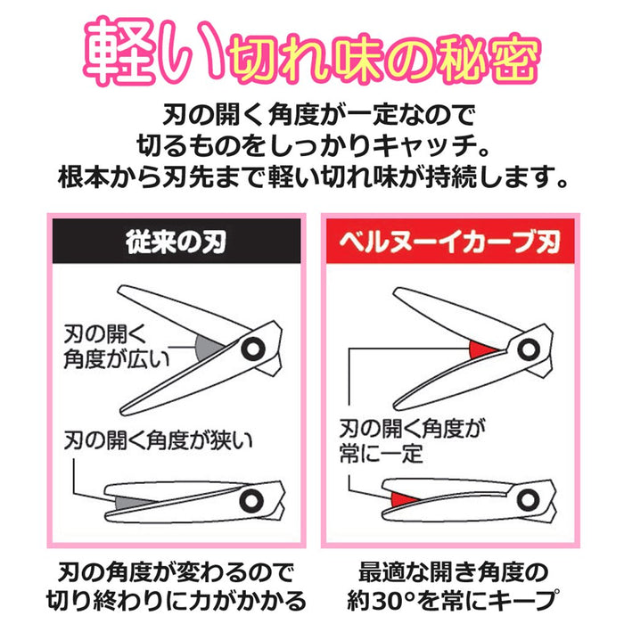 Plus Japan Scissors Set 2-Pack with Fluorine Coating for Precise Cutting-Kiichin - The #1 Place for Japanese Goods in Your Hand!